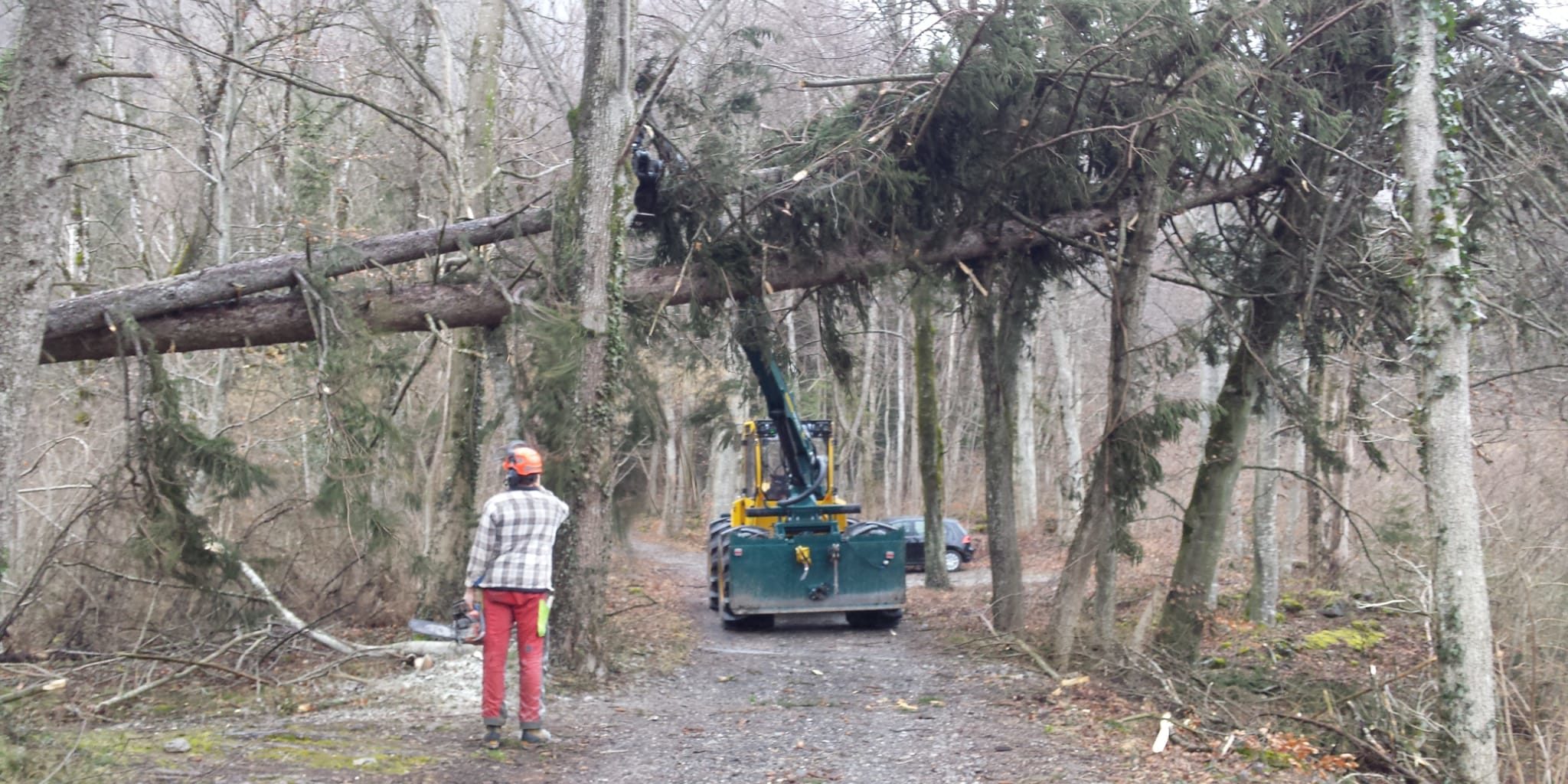 baum_sennwald_stb