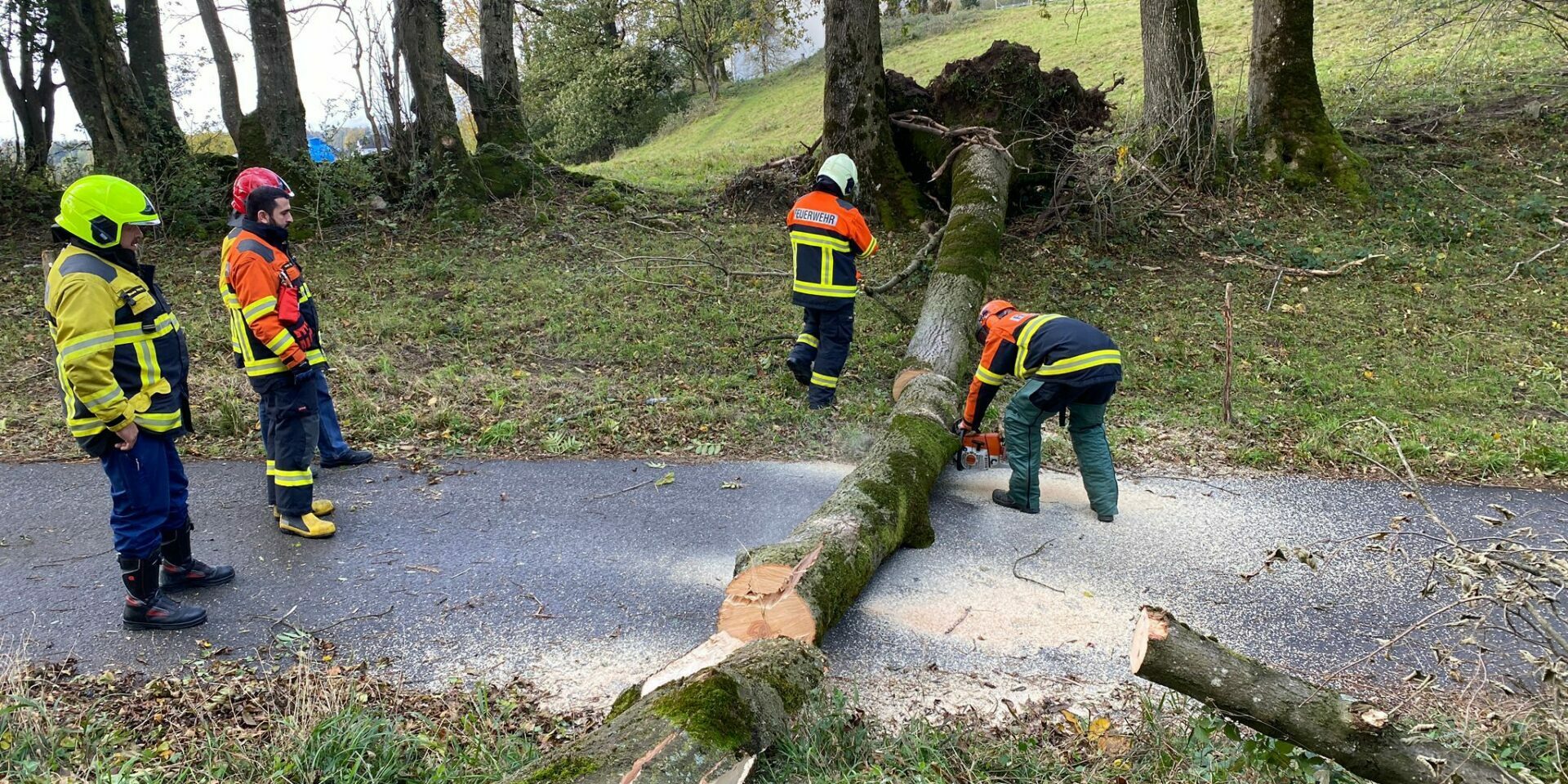 Sturm_Sennwald